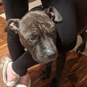 Meet your Posher, Spencer